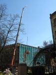 Imagine atasata: Castelul Huniazilor - 2016.03.25 - 09.jpg